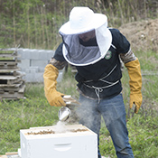 Jeremy Ambrose smokes the beehive 