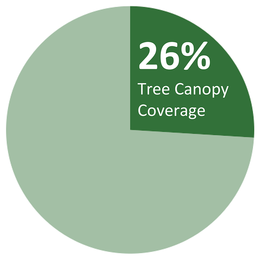 TreeCanopy