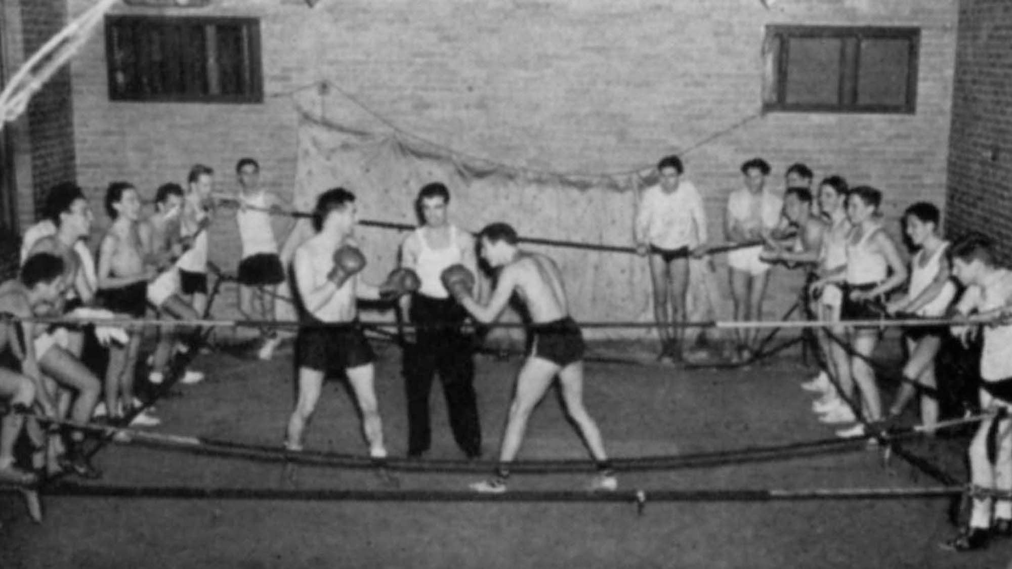 intramural boxing