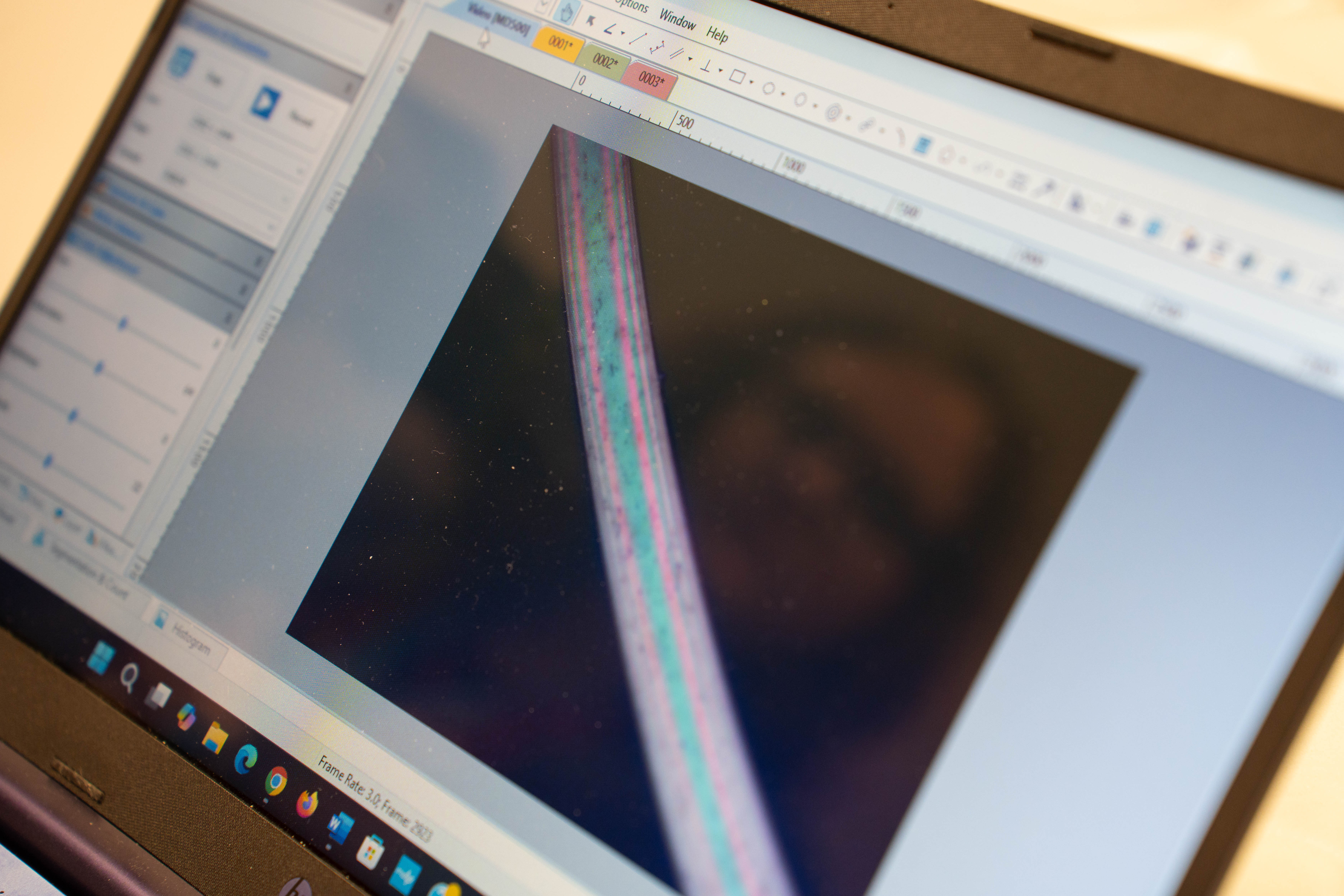 A laptop shows an image of a fiber. Despite being colorless, the fibers appear in bright rainbow colors when observed under polarized light.