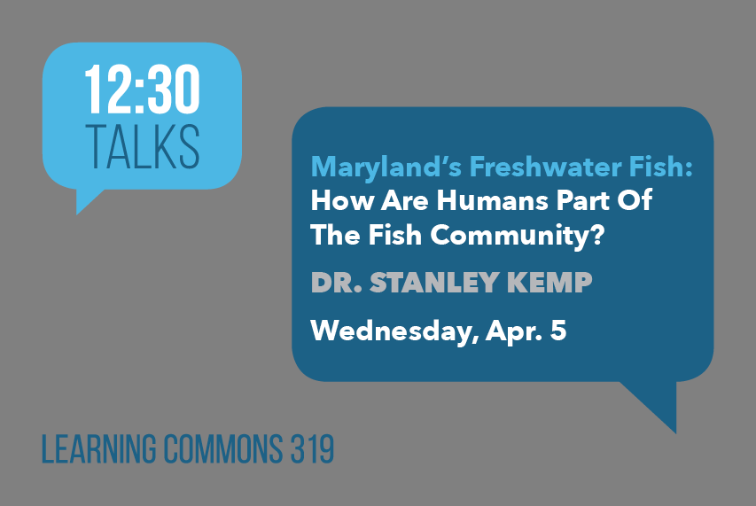 12:30 Talks @ Langsdale
