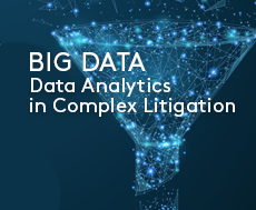 Big Data: Data Analytics in Complex Litigation CLE Seminar