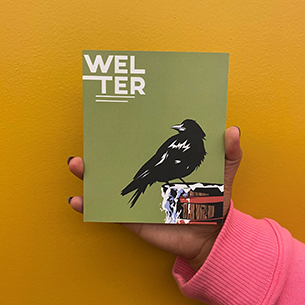 Cover of Welter