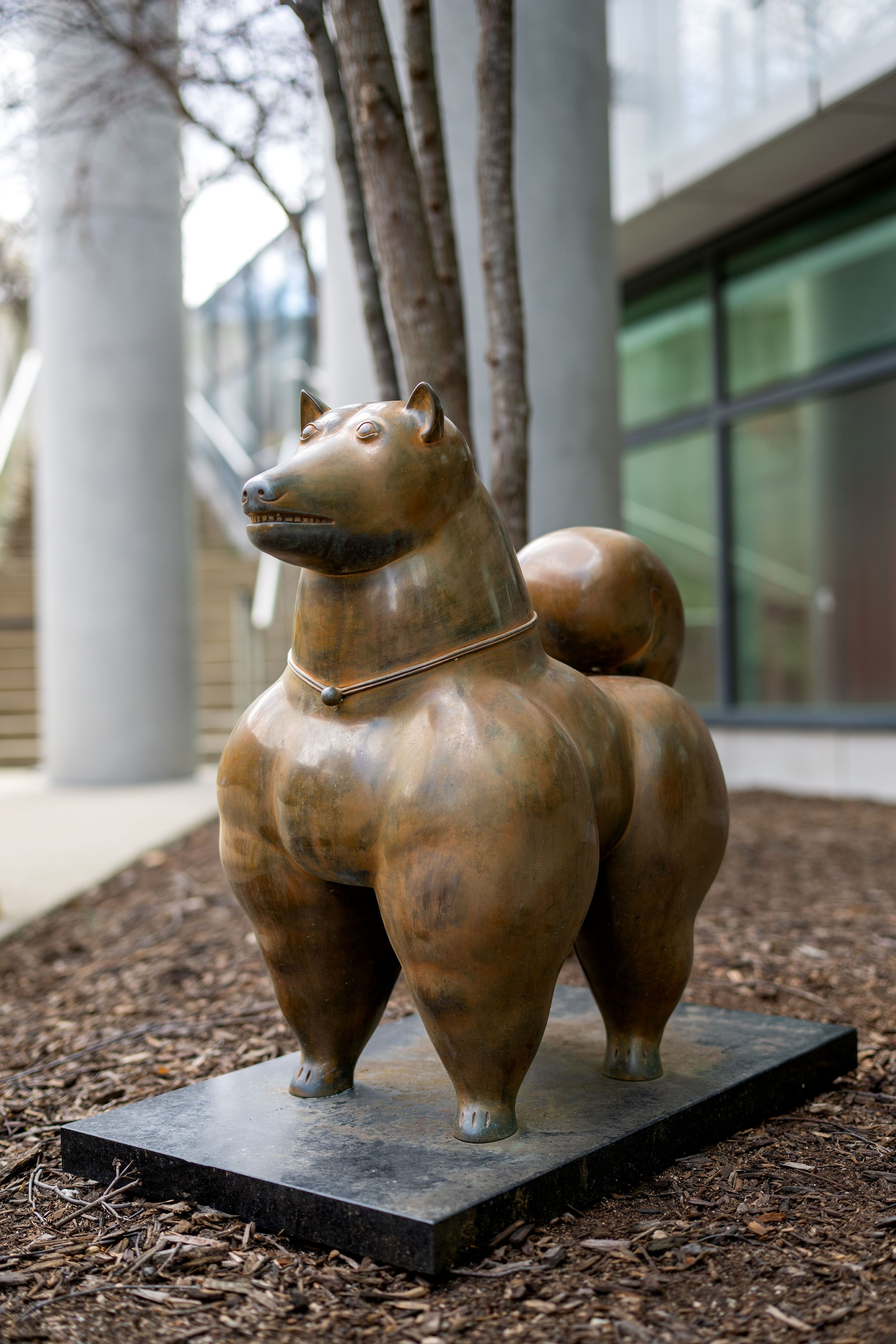 Dog by Fernando Botero