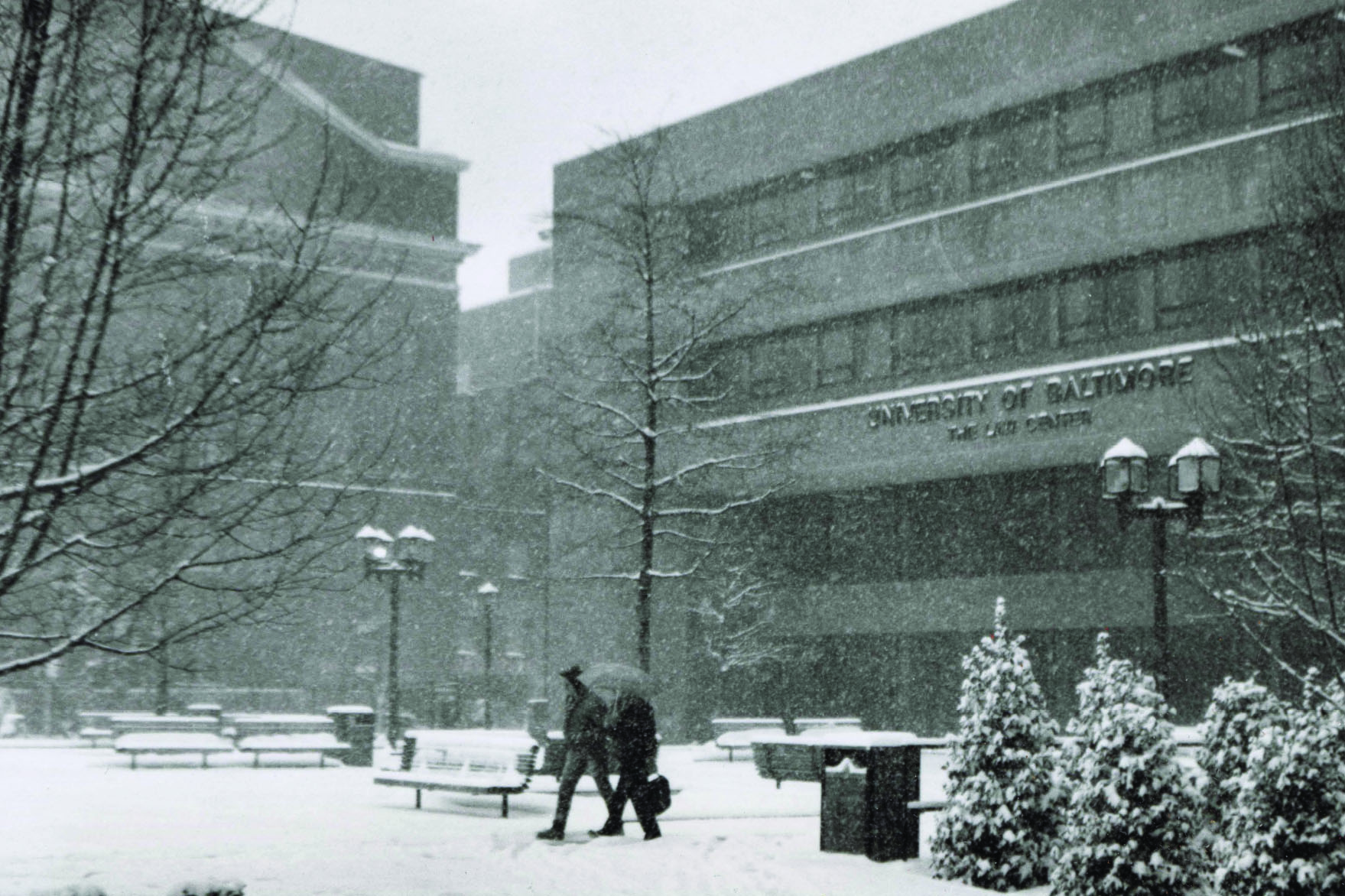 Snowy Gordon Plaza 