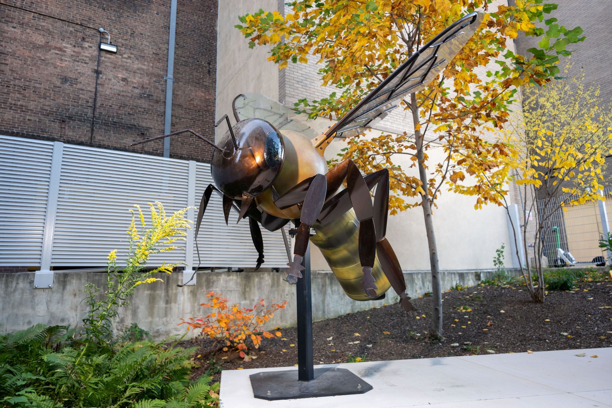 Honey Bee by Colin Selig