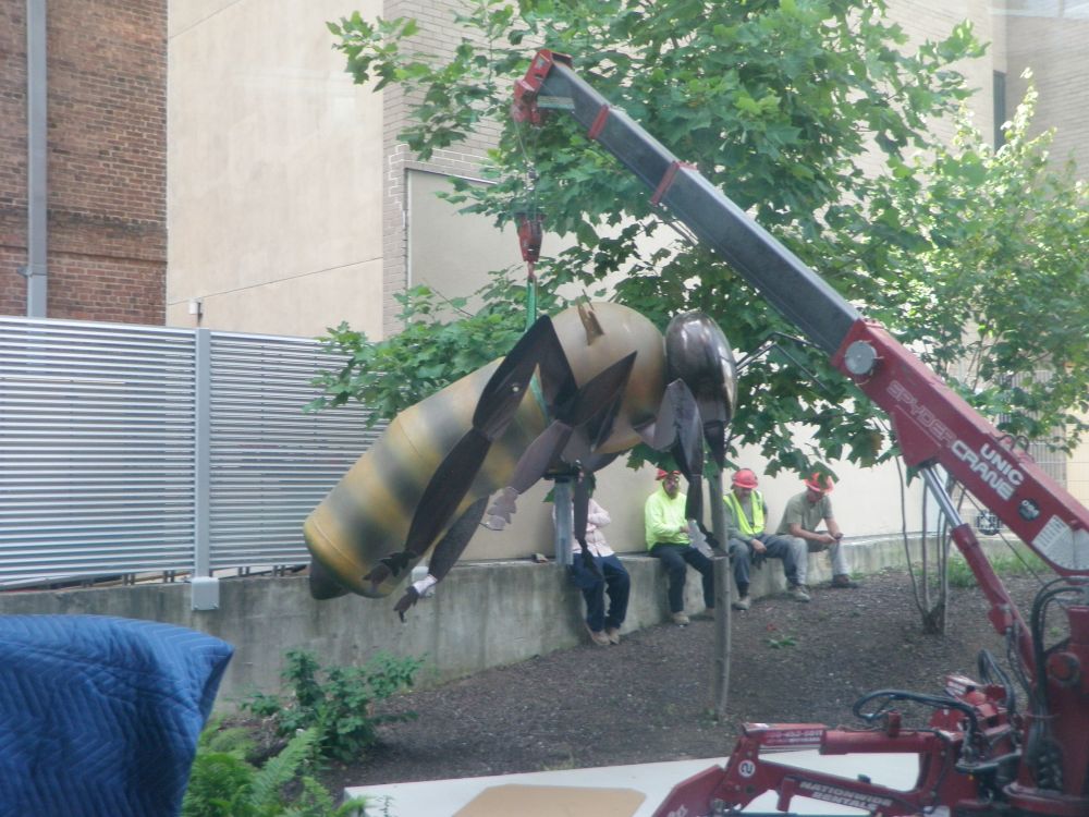 A large bee sculpture being suspended in the air from a crane that sits off camera.