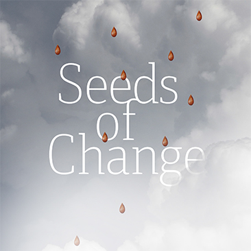 Seeds of Change: Battling Baltimore’s Food Deserts